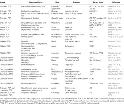 Recent Advances in Molecular Diagnostics of Fungal Plant Pathogens: A Mini Review